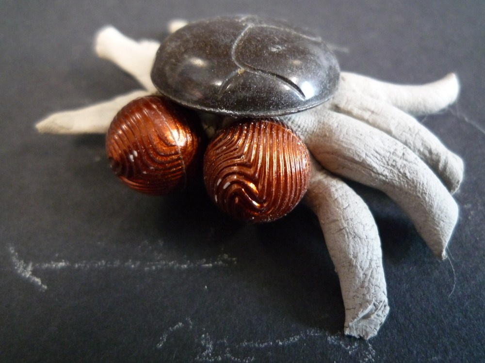 Kingsmead Primary - Reception's mini beasts