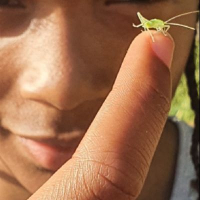 7293dd63-9883-43fa-9234-5fdd2c9d7457