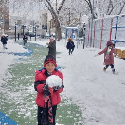 thumbnaila742bb8d-3eb3-4c16-85ef-fabba55b0002