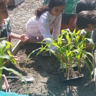 04d960bc-f7b6-4194-be64-93511177d27e