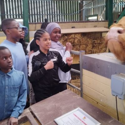 1c976a5b-b822-4c94-aa0a-971840aa2536