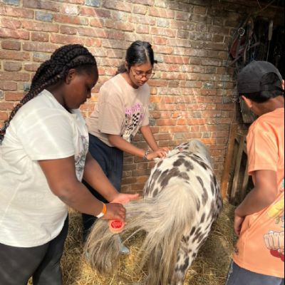 334841ea-d05e-4710-a05e-6d1e5859d2ef