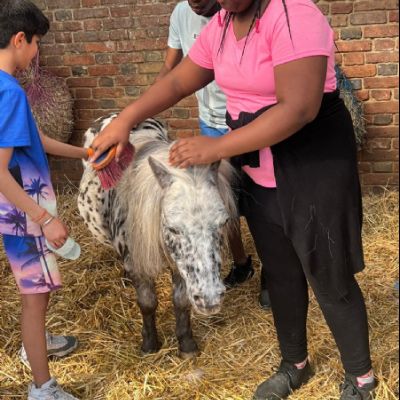 74caa54f-66cf-4d60-afc7-d098251a9e80