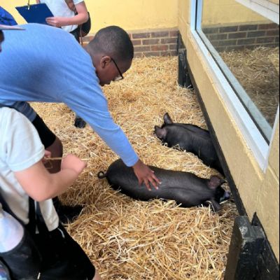 d07161bf-80b5-4a00-8e52-e1aa158cb216